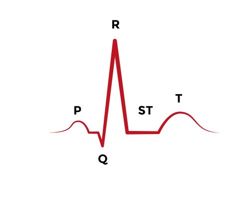 ECG Course